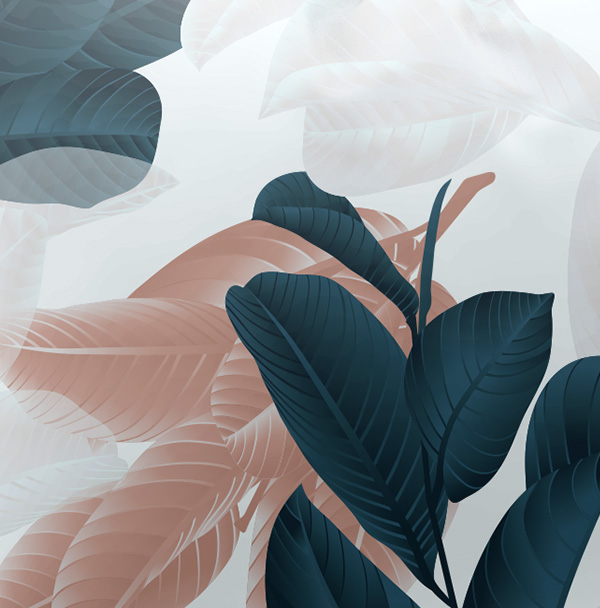 h3-shop-img-5-gallery-3 a